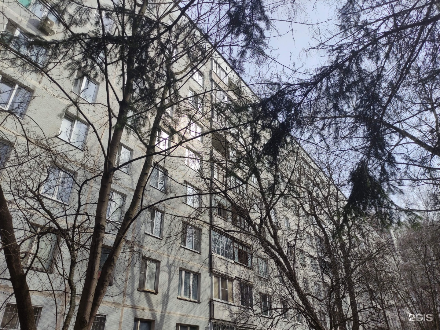 Электроник, робошкола, фотография 2