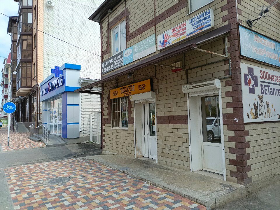 Роботрек, фотография 1