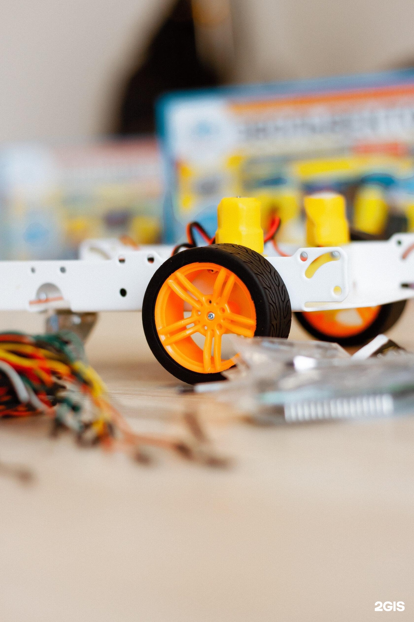 Brainy kids, детская школа программирования и робототехники, фотография 1