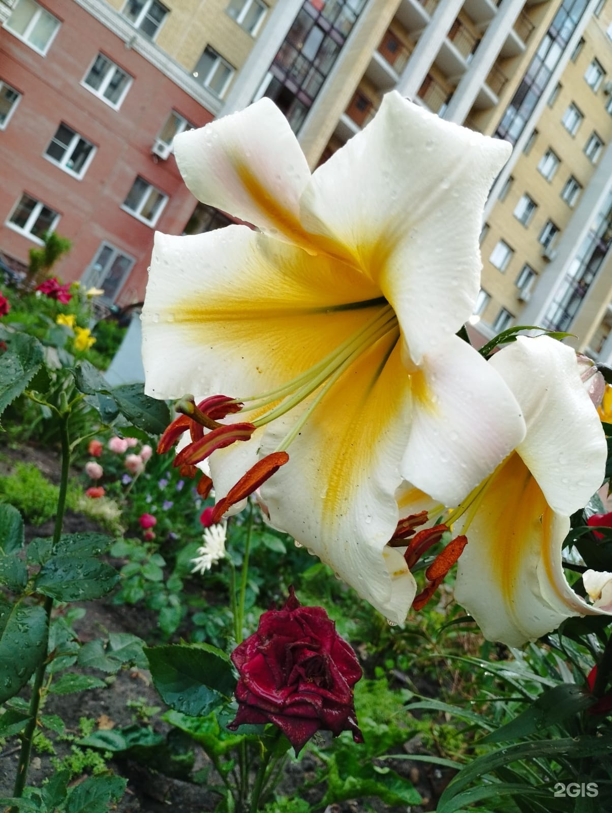 Непоседа, детский клуб, фотография 2