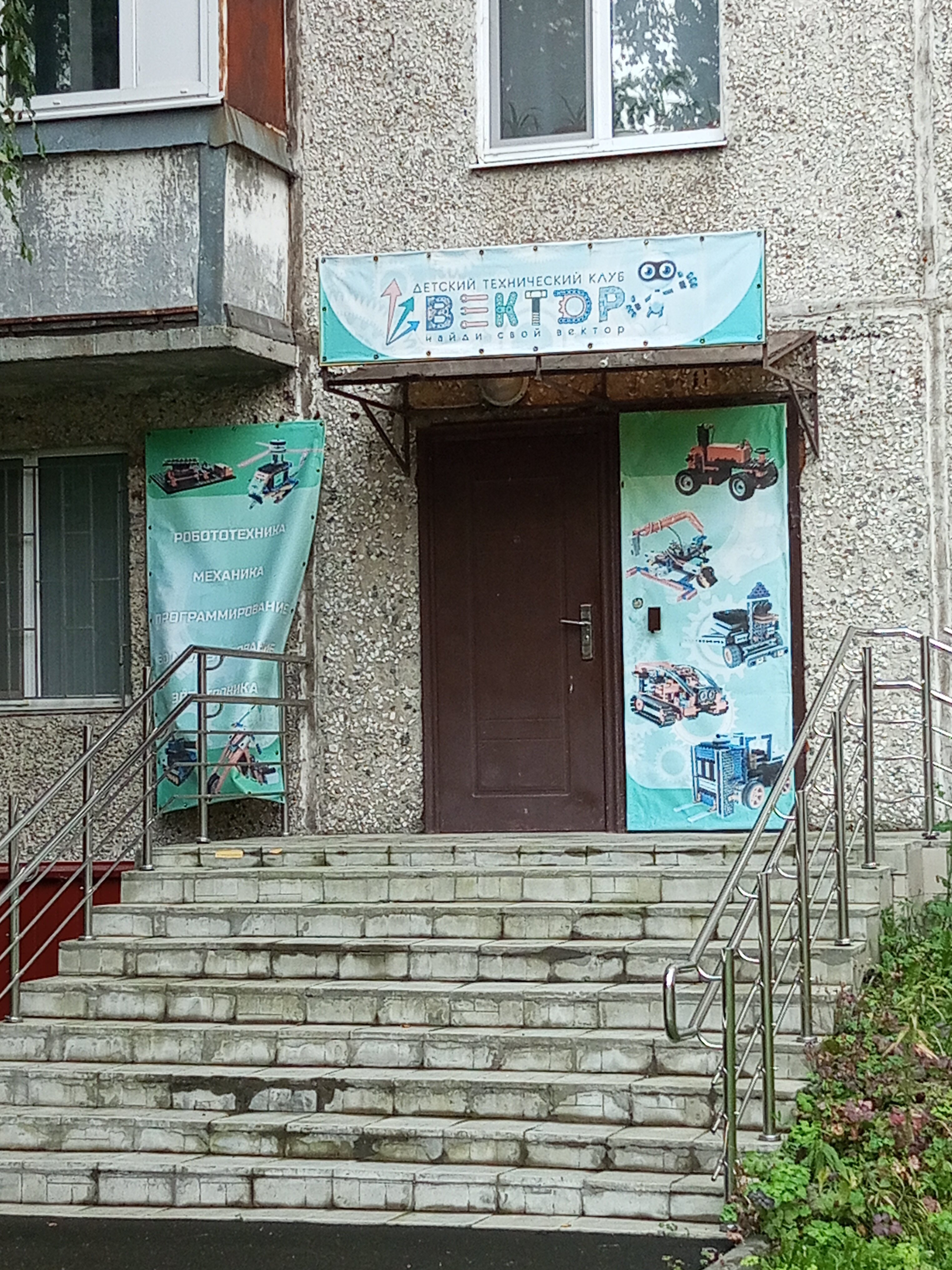 Вектор, фотография 1