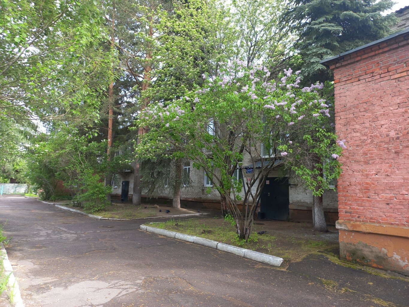 Роботикс, фотография 6