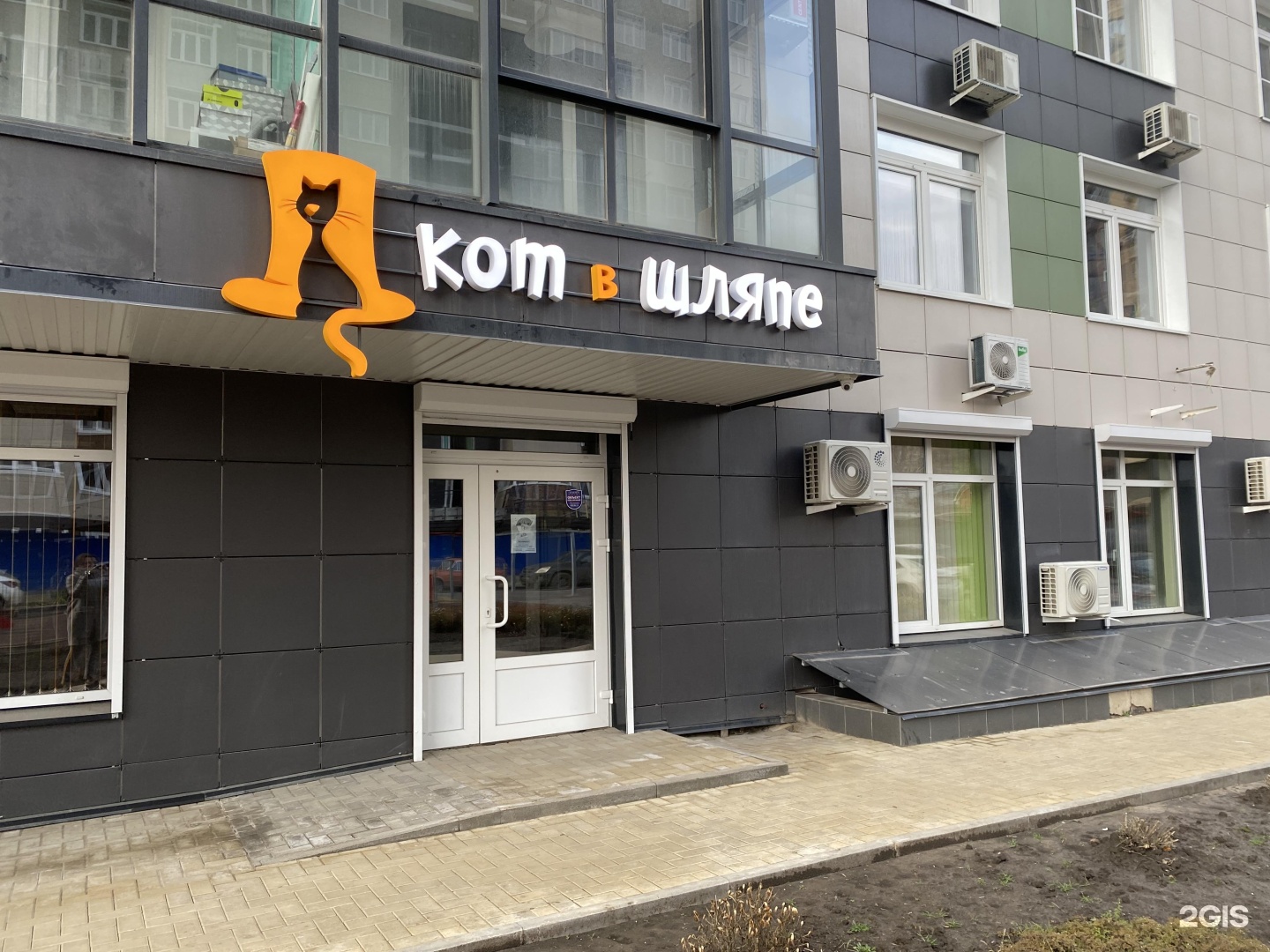 Кот в Шляпе, фотография 1