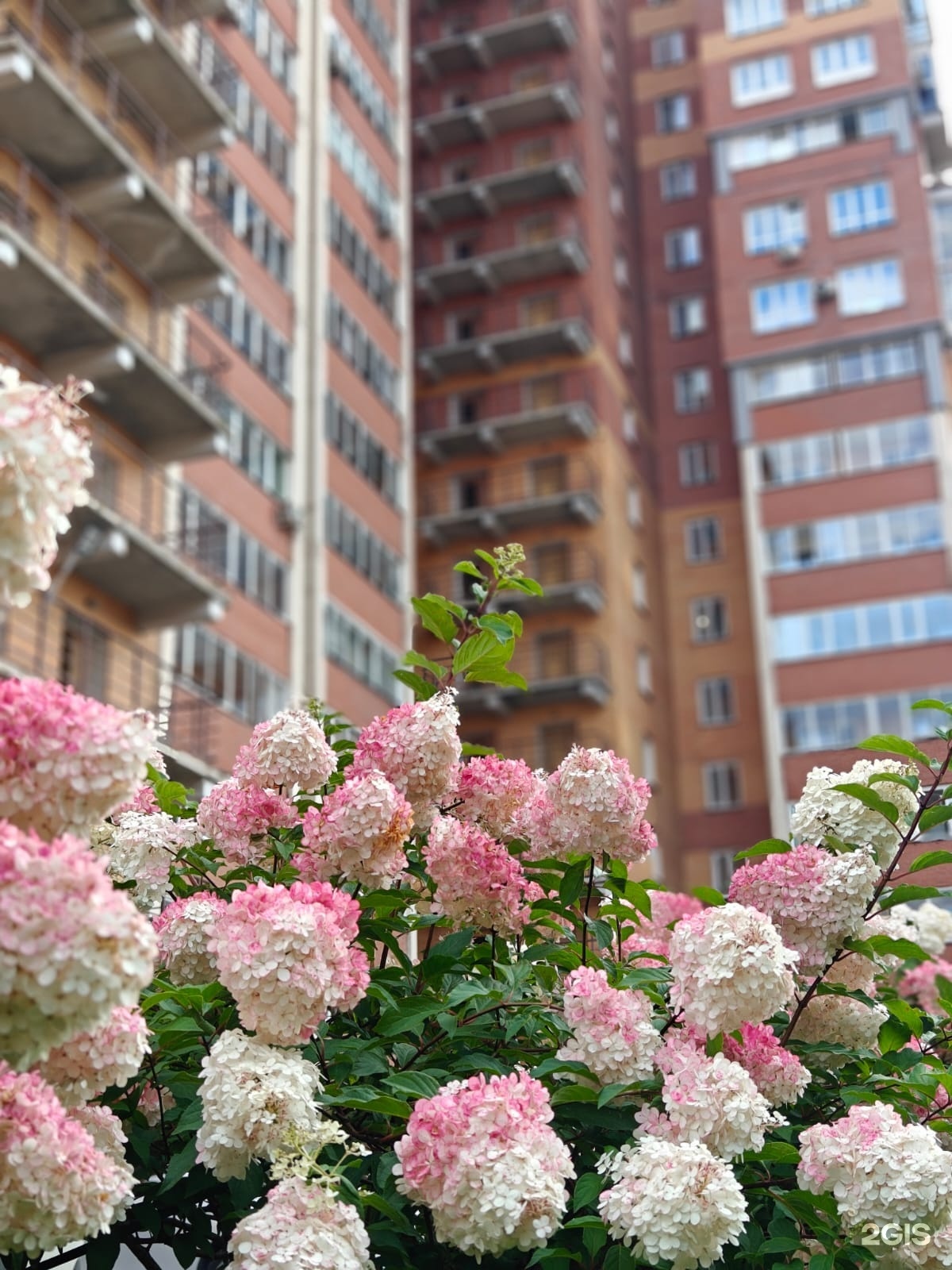 СВ-Робот, фотография 2