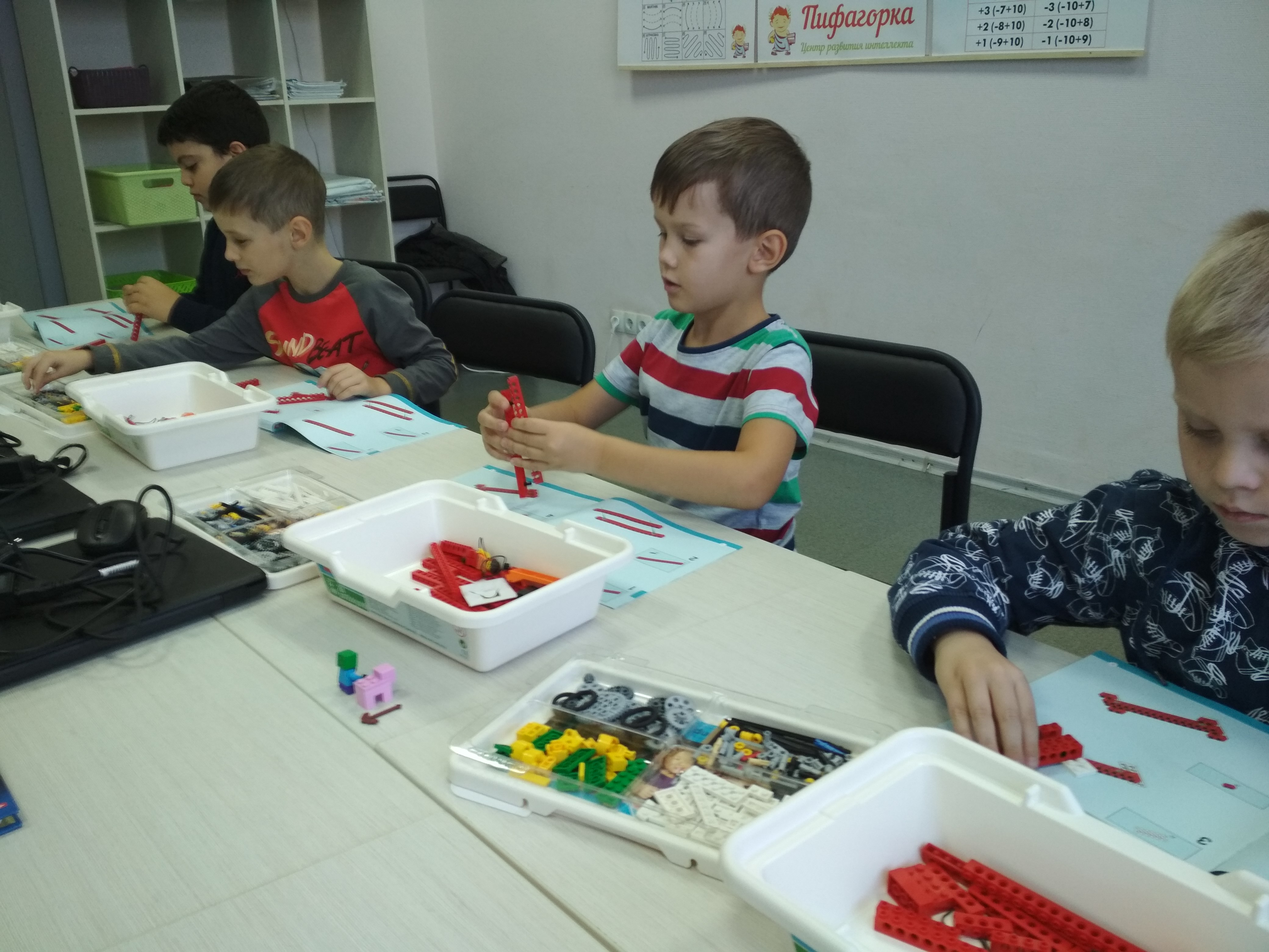Кодиум, фотография 7