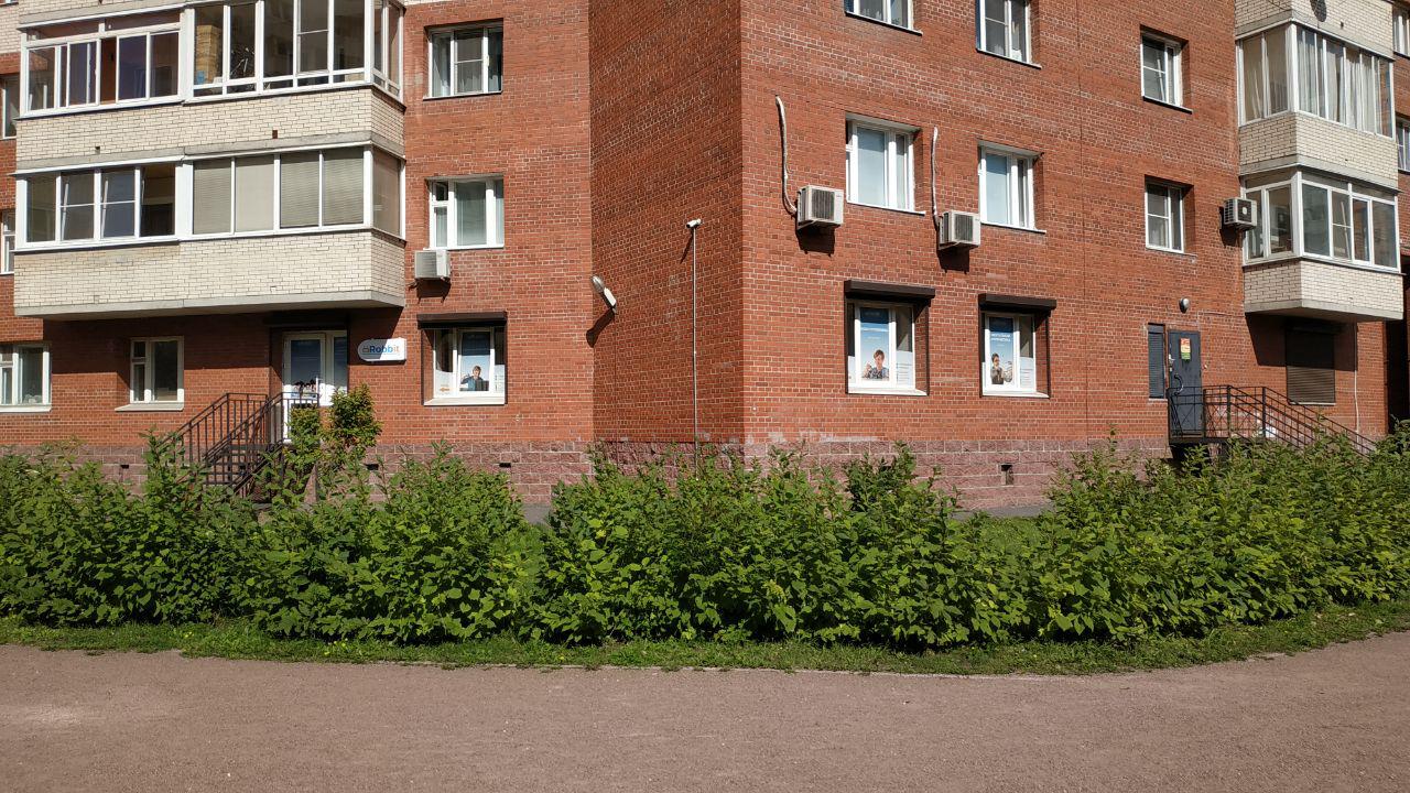 Robbit, фотография 7