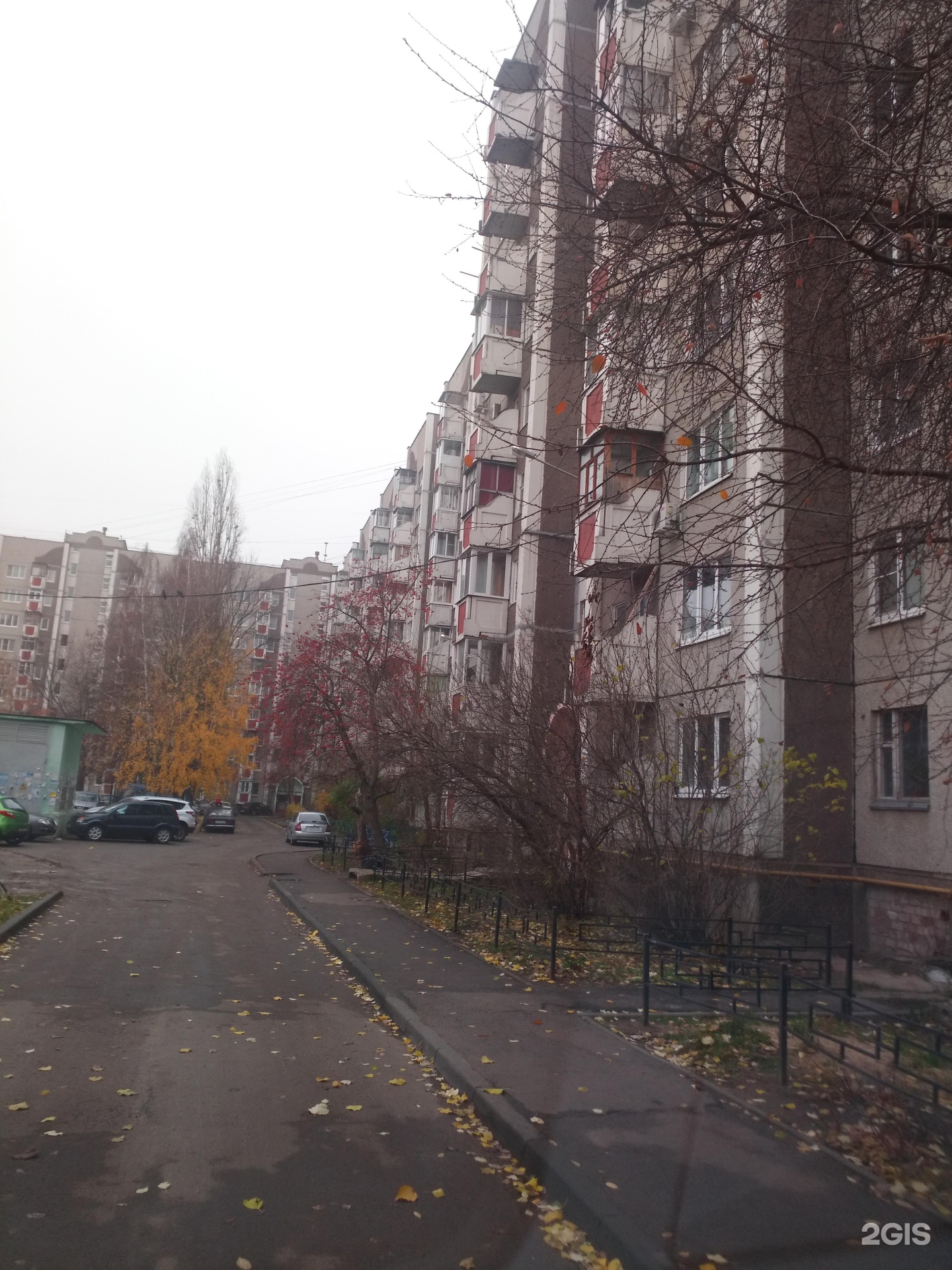 Рободром, студия робототехники, фотография 2