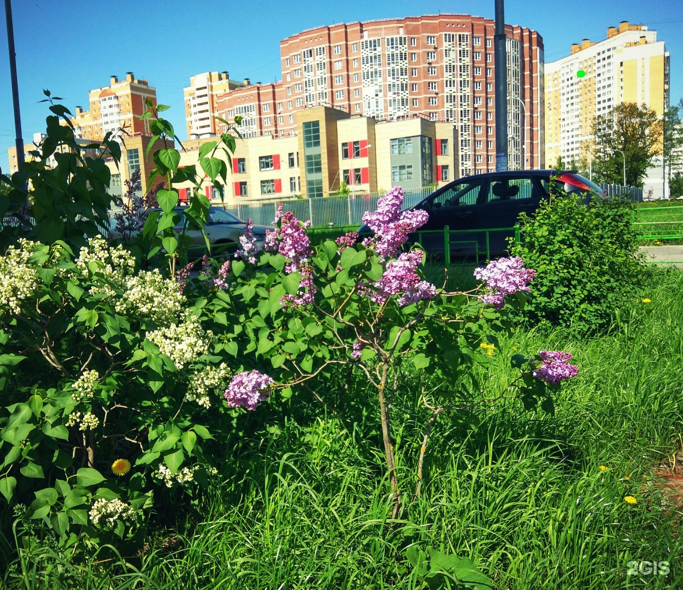 Хочу Всё Знать, детский клуб, фотография 2