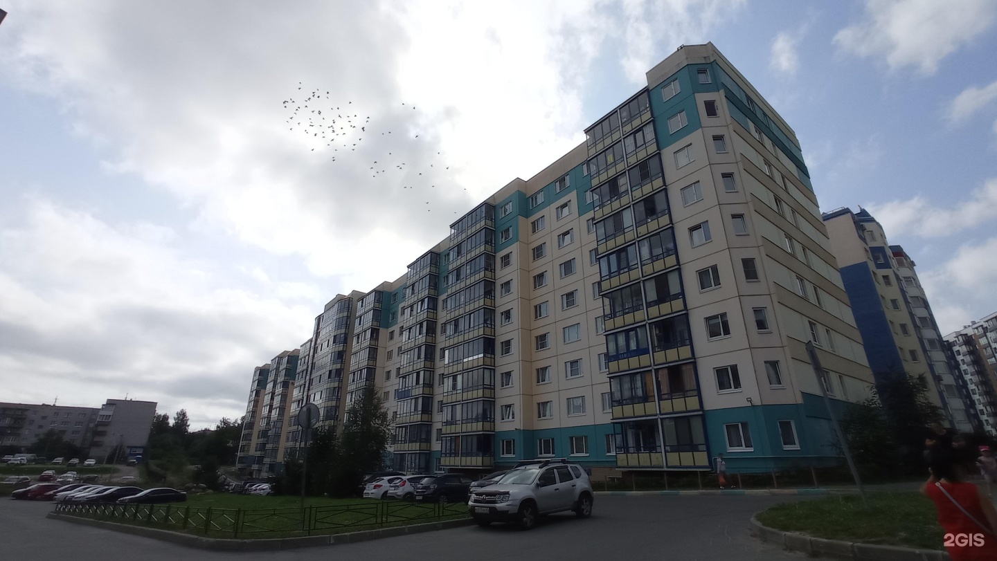Codologia, детская школа программирования, фотография 2