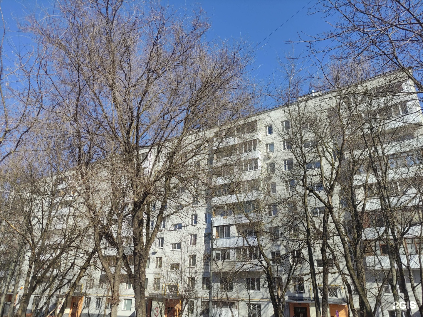 Электроник, робошкола, фотография 2