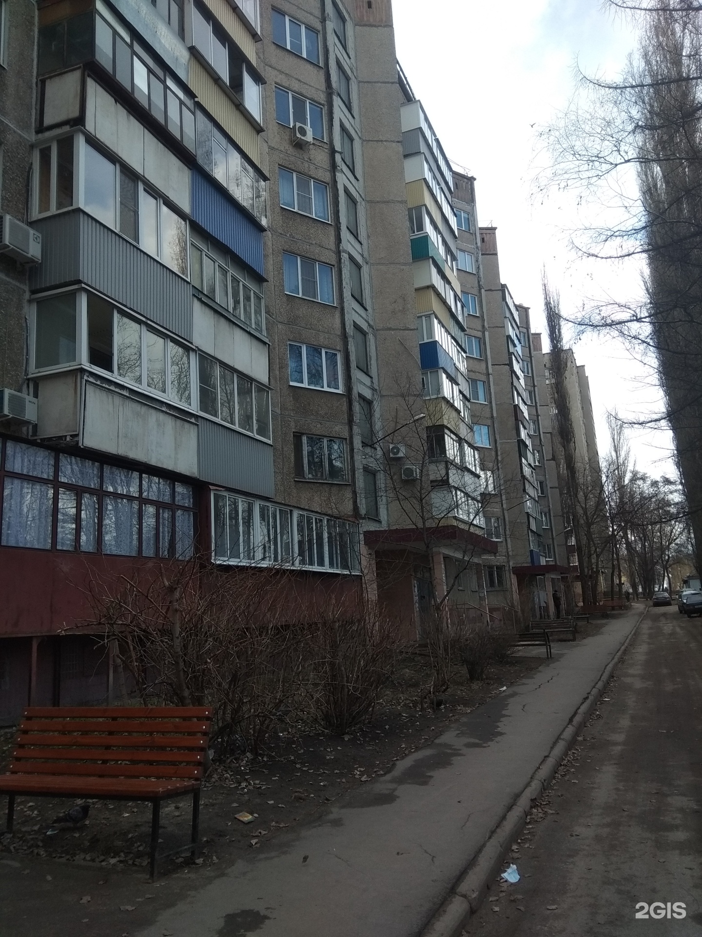 Оранжевый кот, детский развивающий центр, фотография 2